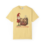 Gnome For The Holidays!