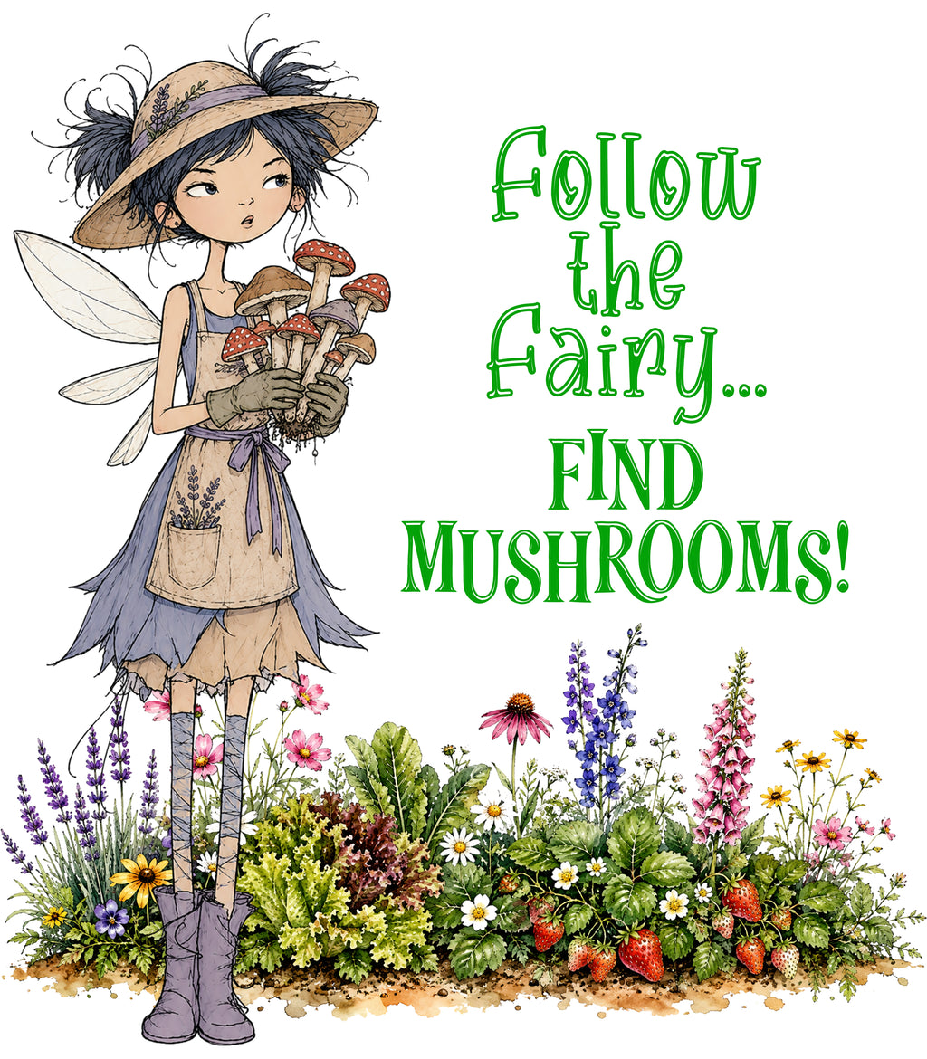 Follow The Fairy… Find Mushrooms!